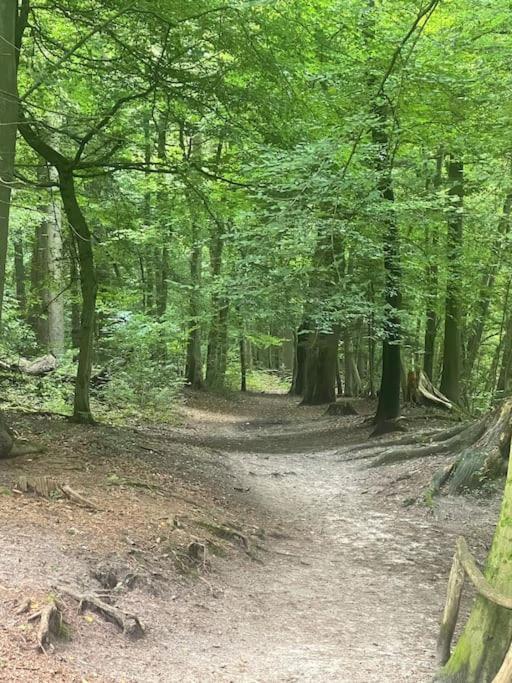 Ferienhaus Am Teutoburger Wald Detmold Zewnętrze zdjęcie