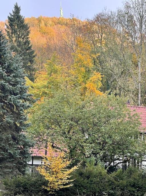 Ferienhaus Am Teutoburger Wald Detmold Zewnętrze zdjęcie